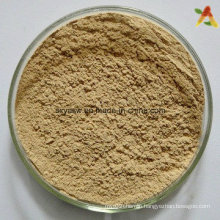 Natural Chlorogenic Acids Green Coffee Bean Extract